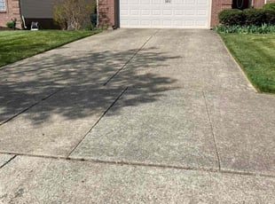 Lauren T.'s grass maintenance service result