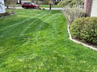 Justin H.'s lawn care service result