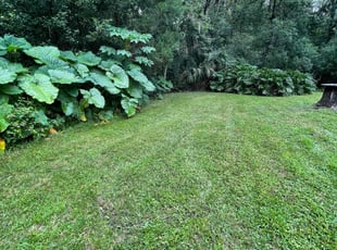 Diane C.'s lawn service service result