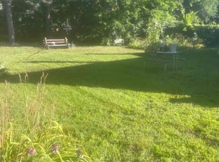 JIM P.'s lawn care service result