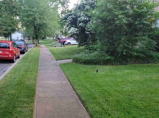 Matthew O.'s lawn care service result