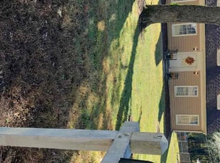 Averie S.'s turf maintenance service result