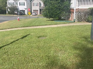 Tyler Y.'s turf care service result