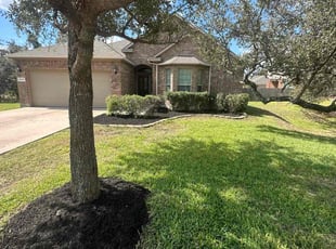 William S.'s Cleanups service result