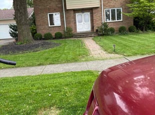 Linda D.'s grass cutting service result