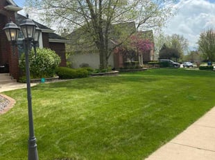 Jamalee O.'s grass cutting service result