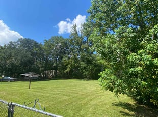 Susan P.'s grass maintenance service result