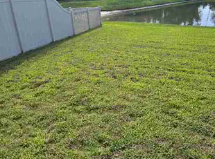 William M.'s lawn care services service result