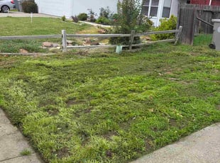 Laura D.'s lawn care services service result
