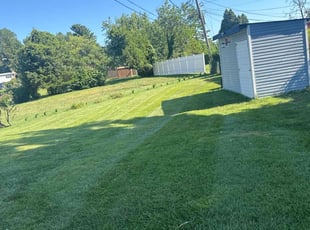 Maria J.'s turf maintenance service result