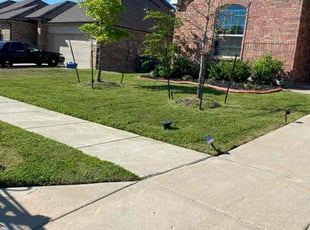Billy C.'s turf maintenance service result