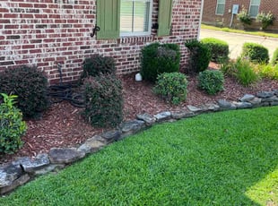 James U.'s Flower Bed Weeding service result