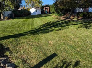 Chris L.'s grass maintenance service result