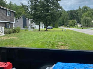 Sai K.'s lawn care service result