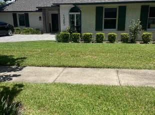 Paula W.'s lawn service service result
