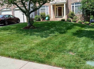 Tracy G.'s lawn care service result