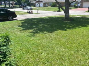 Erin C.'s lawn service service result