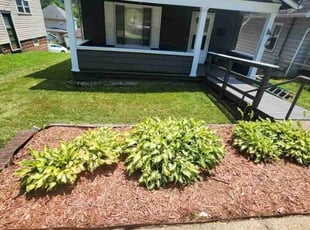 Mary J.'s lawn care services service result