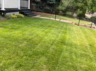 Donald G.'s lawn service service result