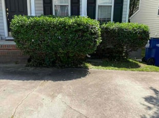 Kim E.'s Bush Trimming service result
