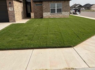 Zachary S.'s grass maintenance service result