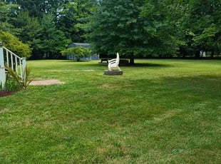 LaShonda P.'s turf care service result