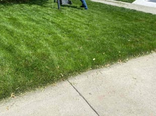 Ojeifo E.'s grass cutting service result