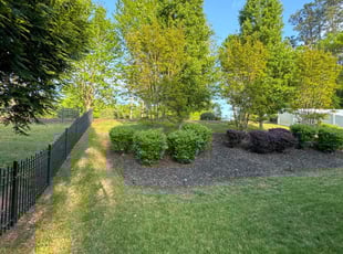 Chris H.'s turf maintenance service result