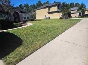 Janis W.'s turf maintenance service result