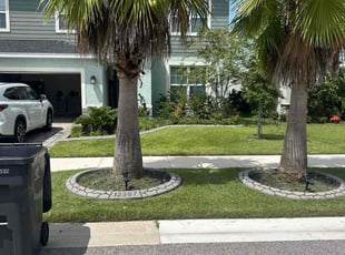 Mukul G.'s turf care service result