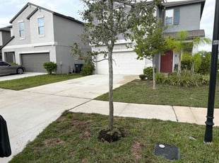 Ron S.'s lawn care service result