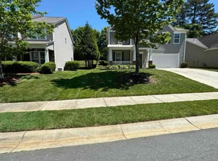 Sophia L.'s lawn care services service result