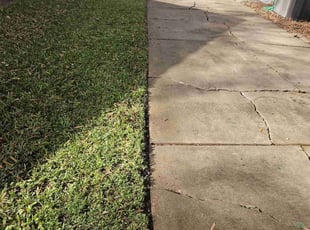 Michael D.'s lawn maintenance service result