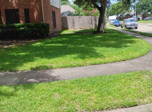 Lindsey B.'s lawn care services service result