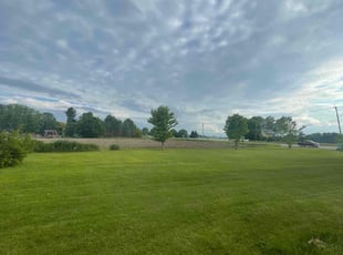 Kathy D.'s grass maintenance service result