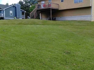 James G.'s lawn care service result