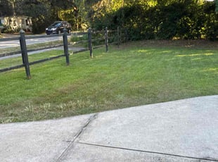 John M.'s Long Grass Cleanup service result