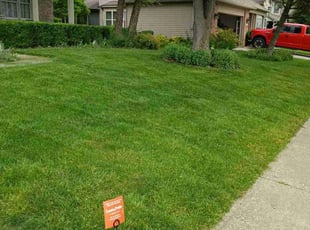 Emily F.'s grass maintenance service result
