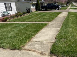 Ivernoner F.'s grass cutting service result