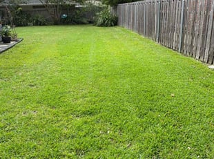 Fred P.'s turf care service result