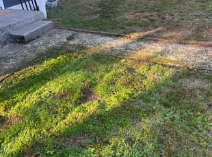 Damsel S.'s turf care service result