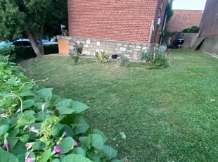James c.'s turf maintenance service result
