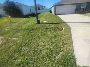 Erin V.'s turf maintenance service result