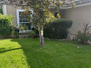 Carmi B.'s grass maintenance service result