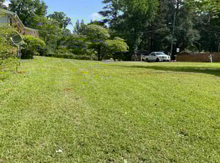 Tim O.'s grass cutting service result