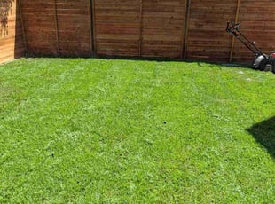Peter S.'s lawn maintenance service result
