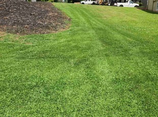 Tina B.'s grass maintenance service result