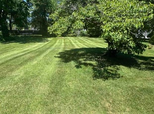 Jean R.'s lawn maintenance service result
