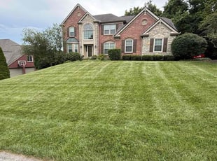 Barbara K.'s lawn care service result