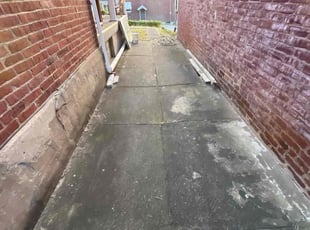 Randolph J.'s lawn care services service result